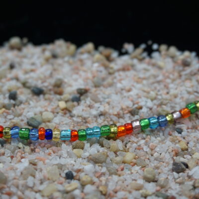 SEED ISLAND - Rainbow