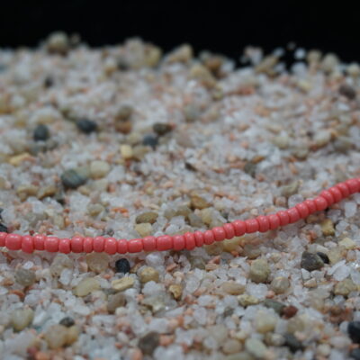 SEED ISLAND - Coral