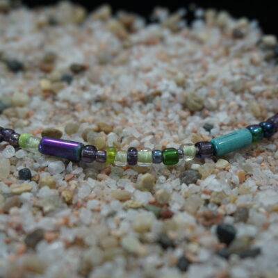 SEED ISLAND - Mardis Gras